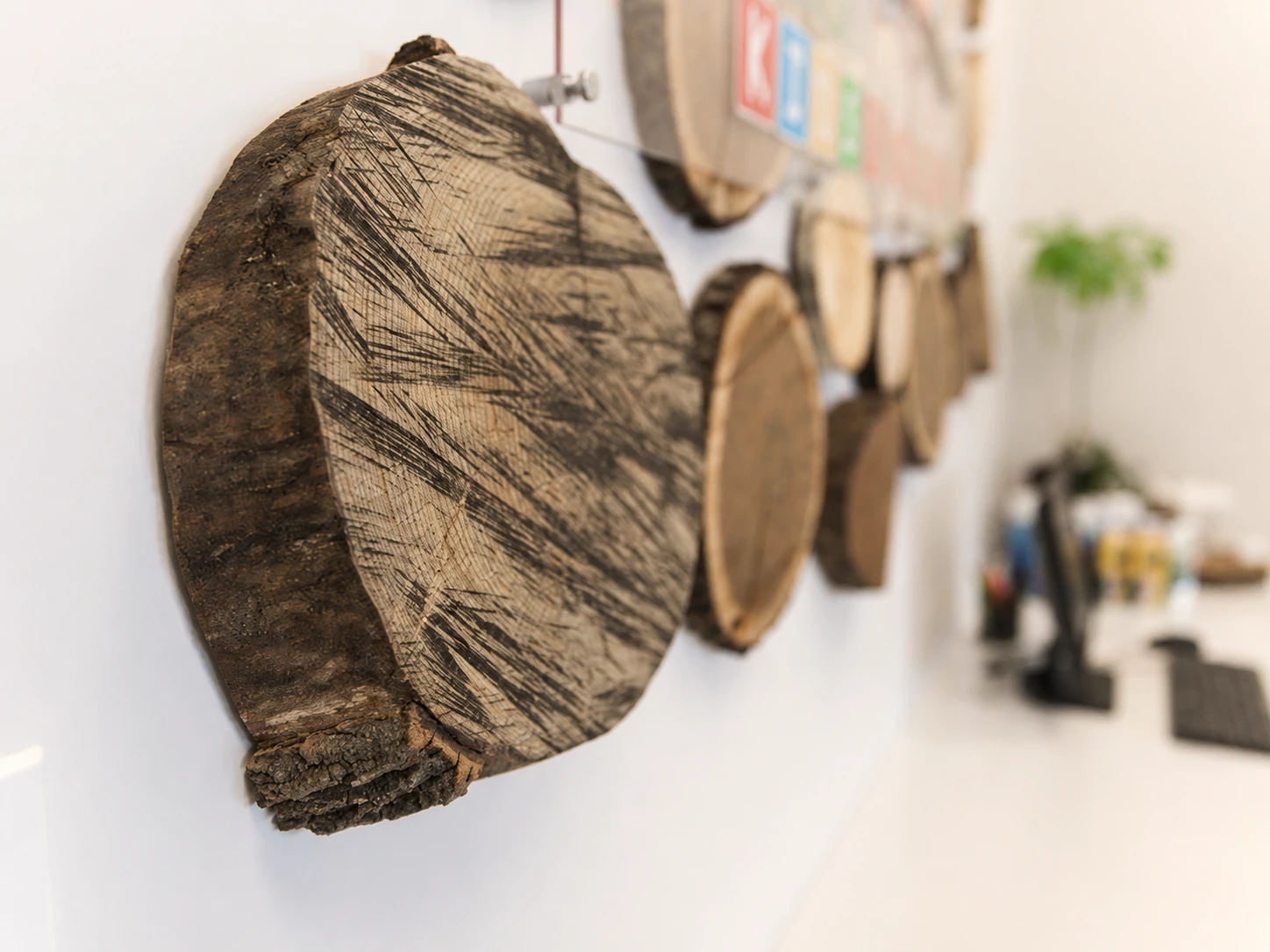 Wood-slice art, close-up detail